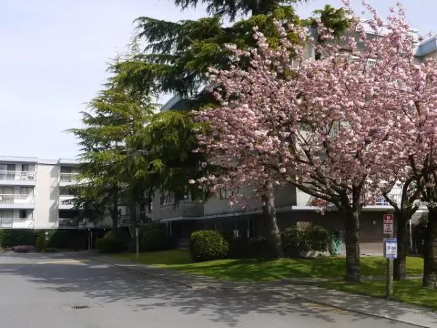 Apartment 2 Bedroom For Rent Richmond BC 1995 ES105377582