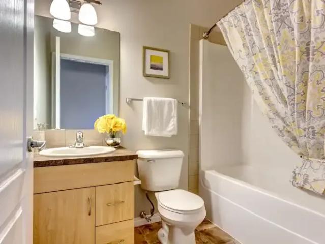 Apartment 2 Bedroom For Rent St. Albert AB 1423 ES104401204
