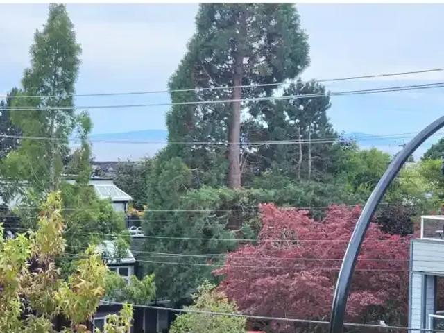 Apartment 2 Bedroom For Rent Surrey BC 3500 ES105345065