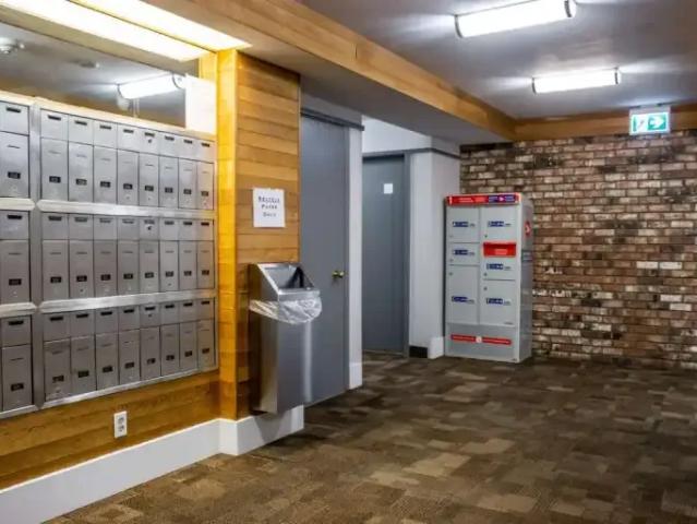 Apartment 2 Bedroom For Rent Saanich BC 2385 ES102700499