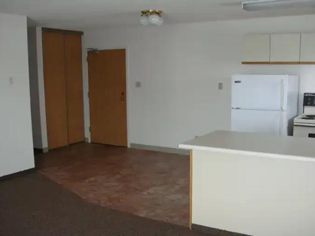 Apartment 2 Bedroom For Rent Saskatoon SK 1595 ES105004081