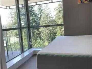 Apartment 2 Bedroom For Rent Vancouver BC 4000 ES103542340