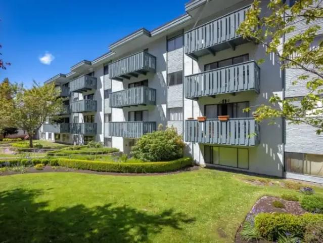 Apartment 2 Bedroom For Rent Victoria BC 2440 ES105087530
