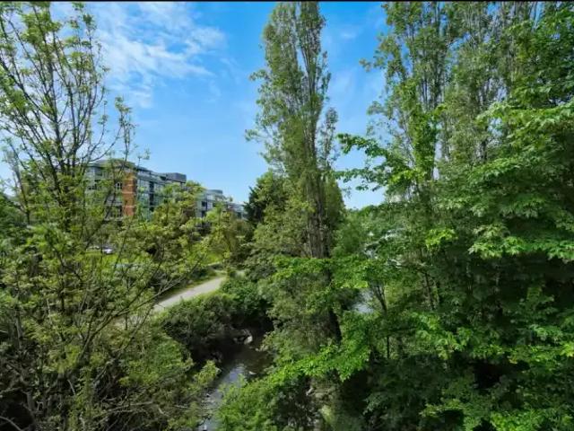 Apartment 2 Bedroom For Rent Victoria BC 2519 ES102845706