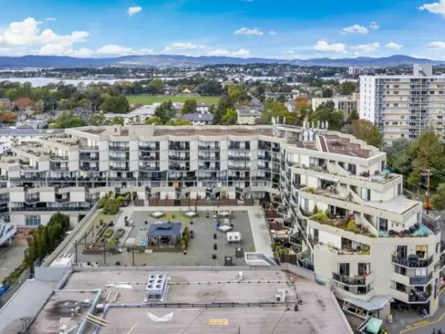 Apartment 2 Bedroom For Rent Victoria BC 2585 ES103611112