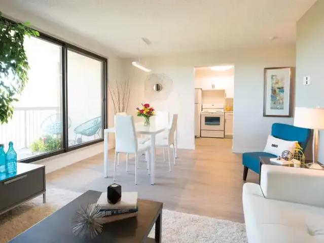 Apartment 2 Bedroom For Rent Winnipeg MB 3500 ELS99824233