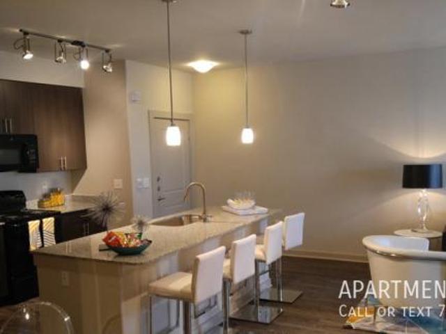 apartment 2 bedroom, Houston TX 77077 DLS77323672