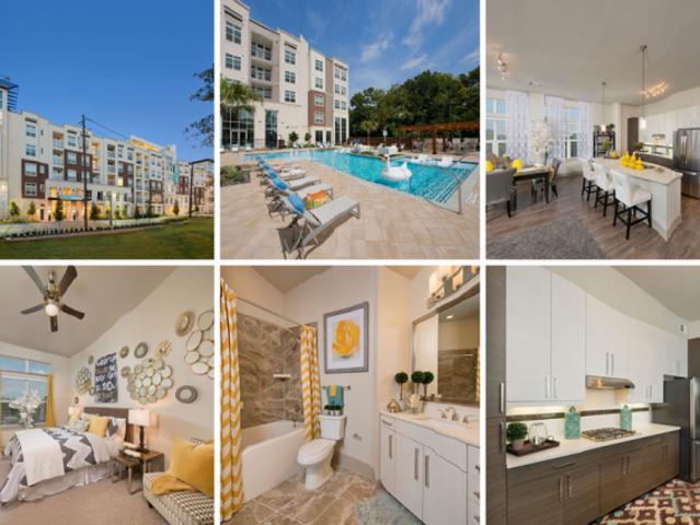 apartment 2 bedroom, Woodlake TX 77063 DS77109864
