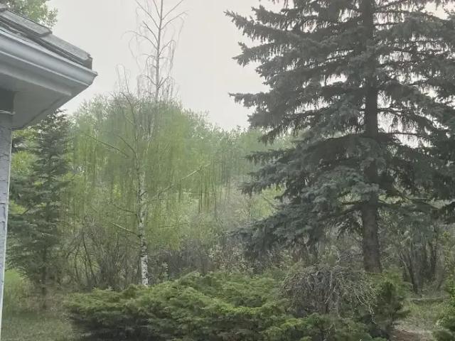 Apartment 5 Bedroom For Rent Calgary AB 18222 ES104179104