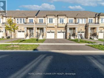 Apartment for rent in Brant - Cellar