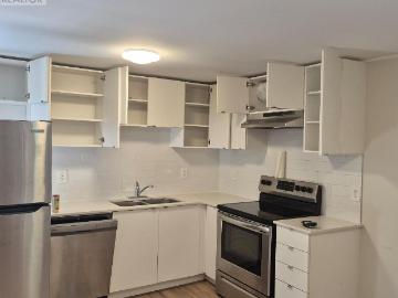 apartment at 253 DAIN BASEMENT AVENUE
