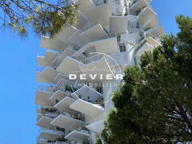 apartment at
