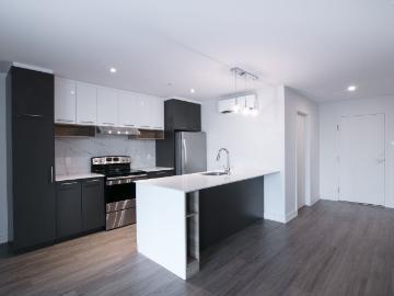 apartment at 9675 Av. Papineau Ahuntsic Montreal H2B 3C8