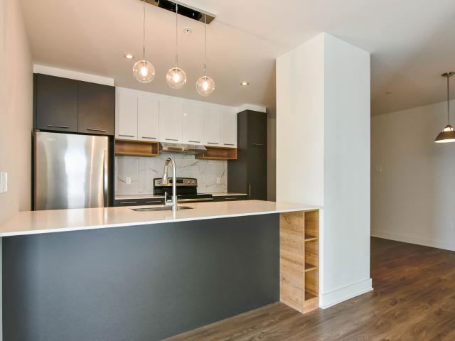 apartment at 9675 Av. Papineau Ahuntsic Montreal H2B 3C8
