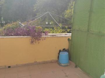 Mairena del Aljarafe, Sevilla, Andalucía, Andalucía