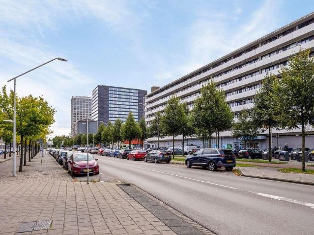 apartment at Amsterdam