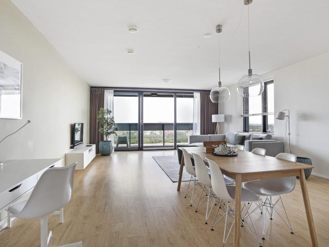 apartment at Anna van Buerenplein 130 The Hague, 2595 DC, Netherlands