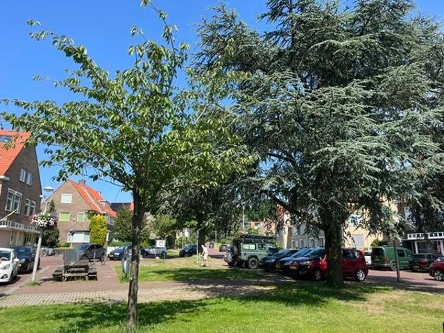 apartment at Beethovenlaan 59 A 6815BL Arnhem, Netherlands