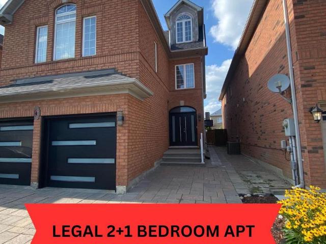 apartment at BSMT 47 SAPPHIRE DRIVE, Richmond Hill, Ontario, L4S2E5