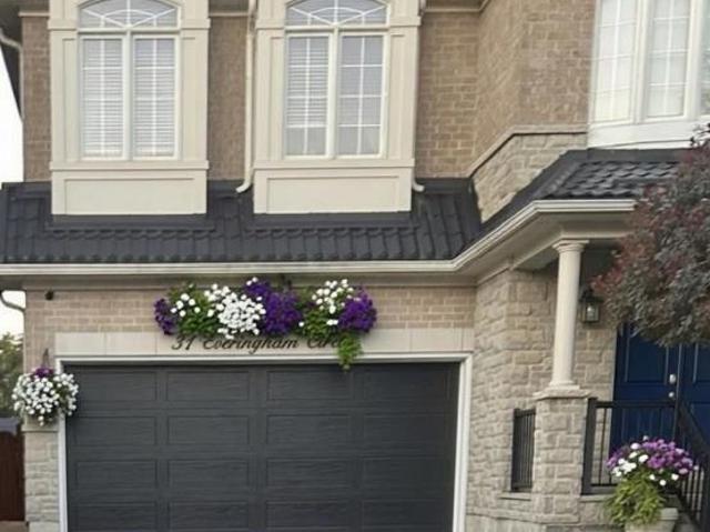 apartment at BSMT 31 EVERINGHAM CIRCLE, Brampton, Ontario, L6R0R7