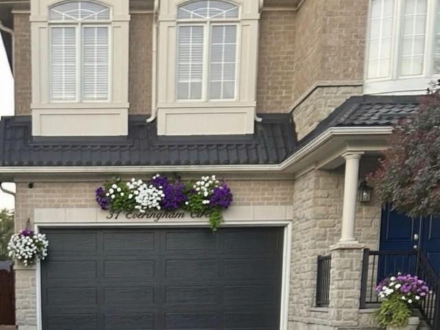 apartment at BSMT 31 EVERINGHAM CIRCLE, Brampton, Ontario, L6R0R7