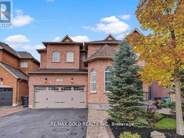 apartment at BSMT 38 CARMEL CRESCENT, Brampton, Ontario, L6P1Y2
