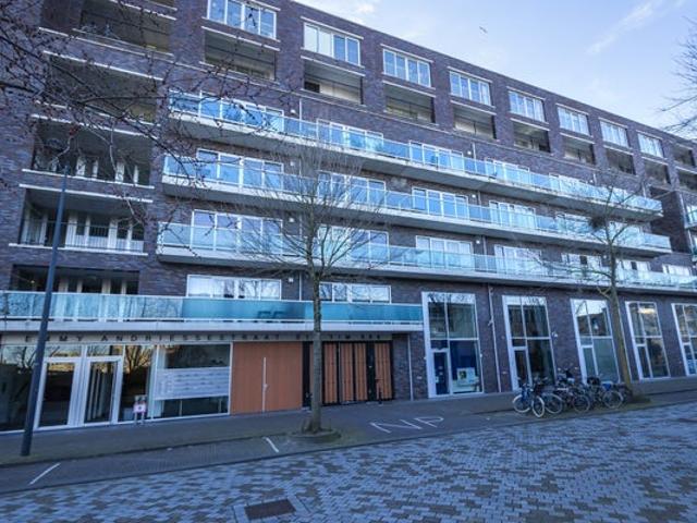 apartment at Emmy Andriessestraat 450 1087NE Amsterdam