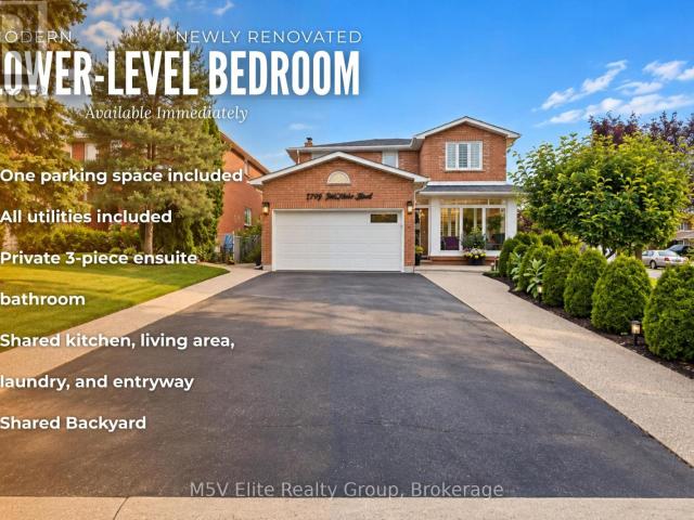apartment at LOWER 46 TRALEE STREET, Brampton, Ontario, L6Z2Z4
