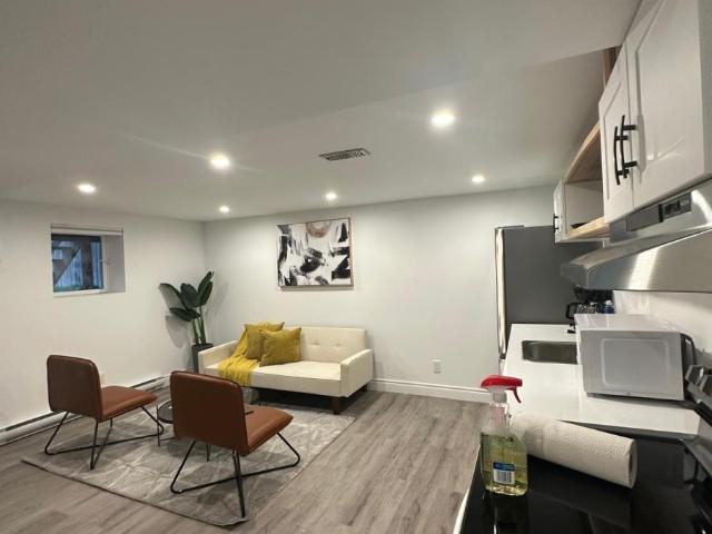 apartment at LOWER 66 WELLINGTON STREET S, Hamilton, Ontario, L8N2R1