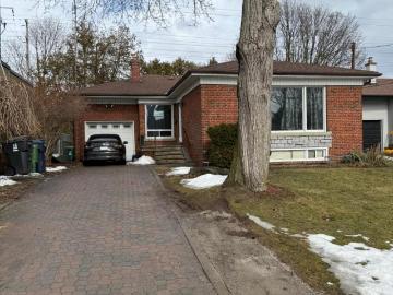 Princess-rosethorn, Toronto, Ontario - Garden