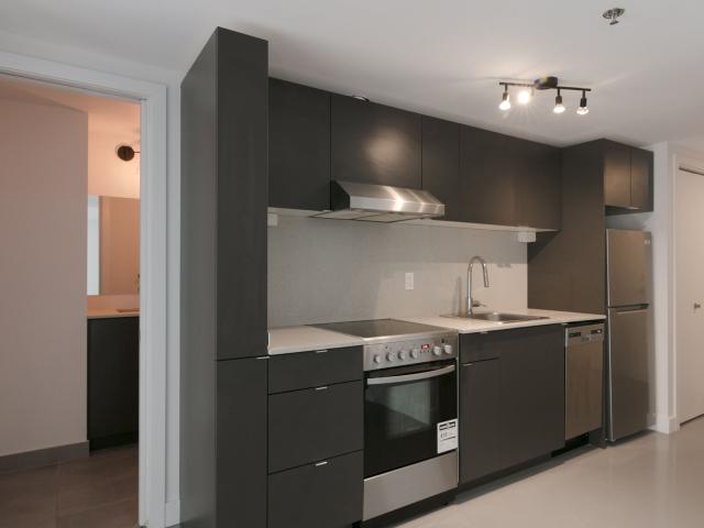 apartment at 4350 Hotel de Ville Plateau Mont Royal Montreal H2W 2H5