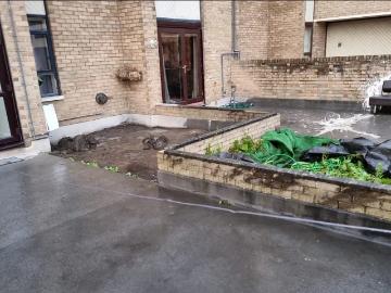 Flat to rent in North East - Garden