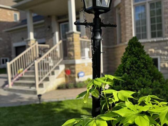 apartment at SECOND FLOOR ROOM A 936 GORING CIRCLE, Newmarket, Ontario, L3X0B6