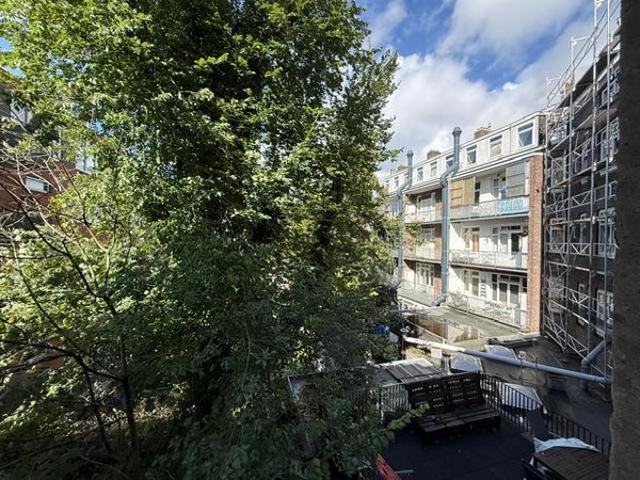 apartment at Pretoriusstraat 4 2 1092GE Amsterdam