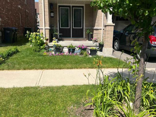 apartment at ROOM 1 23 FRANCESCO STREET, Brampton, Ontario, L7A4N6
