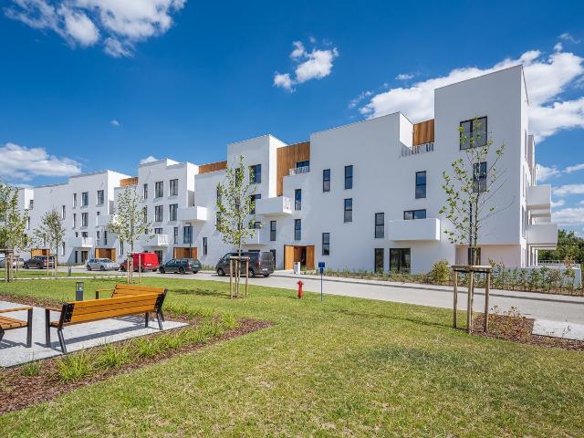 apartment at Wrocław, Śródmieście