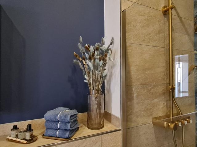 APARTMENT.BLAUESWUNDER.DRESDEN FITTEDKITCHEN PARQUET SHOWER BATHROOM FLOOR HEATING LARGE TERRACE LIFT+, Dresden Amsterdam Apartments for Rent