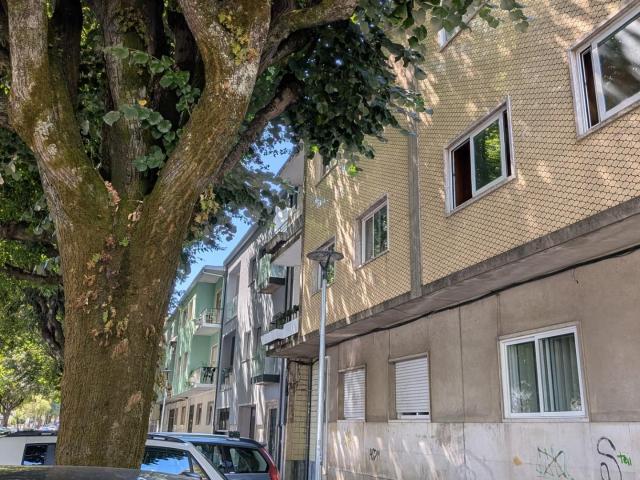 apartment braga são victor