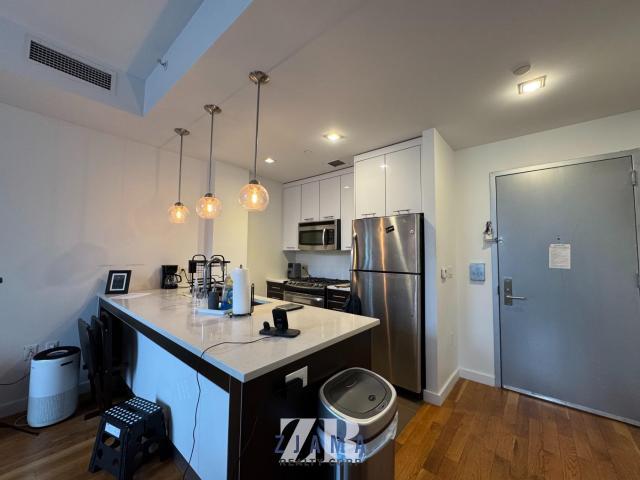 apartment BROOKLYN NY 11226 DLS87996924