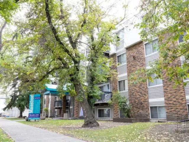 Apartment Edmonton AB 104637356