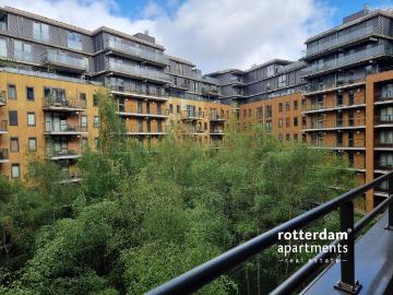 Chijnsakker, Geldrop-Mierlo, Noord-Brabant