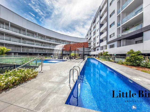 apartment for rent at 215/325 Anketell Street, Greenway ACT 2900, Australia