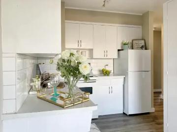 Apartment For Rent Edmonton AB 1027 ES101106685