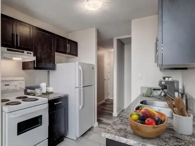 Apartment For Rent Edmonton AB 1250 ES103367477