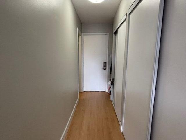 apartment for rent in 146 Stewart Street