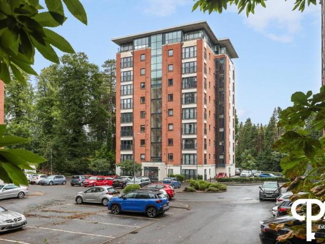 apartment for rent in 44 Luna Building, Belfast, BT17 9FP
