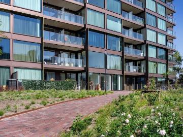 apartment for rent in C.T. Storklaan 323 2285VV Rijswijk Ministerbuurt Rijswijk ZH