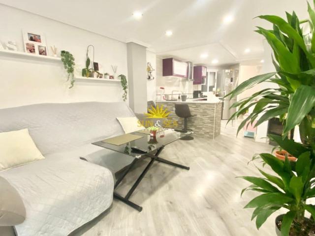 Apartment for rent in Carolinas Altas, Alicante / Alacant city, Alicante