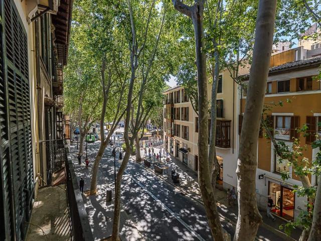 Apartment for rent in Centro, Palma de Mallorca, Mallorca