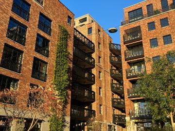 Dijkzigt, Gemeente Rotterdam, Zuid-Holland